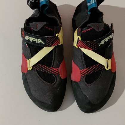 La scarpa, Arpia, 38